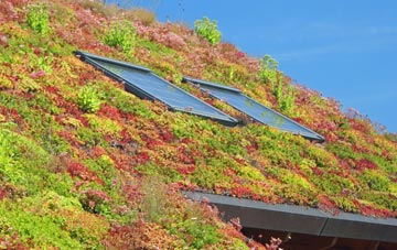 Farnham Royal living roof systems